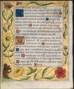 Feuille d