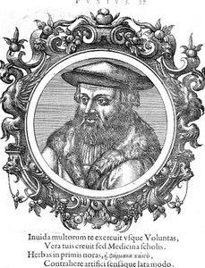 Leonhard Fuchs, botaniste et médecin allemand - Unbekannt