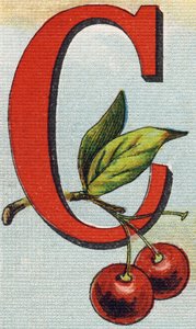 Lettre C : cerises. Gravure dans "Alphabet de ma petite fille". Bernardin-Bechet et Fils, libraires-éditeurs, Paris, vers 1895. Album incassable sur toile. Bibliothèque des Bébés. 12 pages. Album contenant une méthode de lecture et un abécédaire illustrati