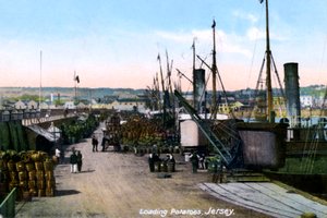 Chargement de pommes de terre, Jersey, 1908 - Unbekannt