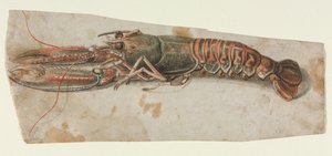 Homard, 1600s - Unbekannt