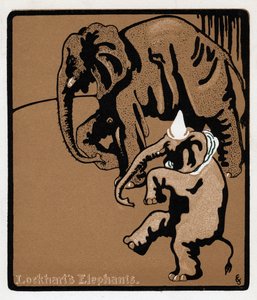 Les éléphants de Lockhart, 19e siècle - Unbekannt