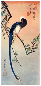 Oiseau bleu à longue queue sur une branche de prunier en fleur, 19ème siècle - Unbekannt