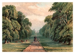 Long Walk, Windsor Park