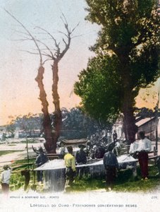 Lordelo do Ouro, près de Porto, Portugal, 1903