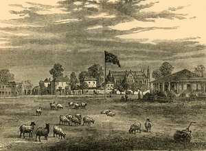 Terrain de Lords en 1837, vers 1876