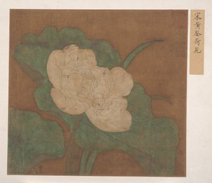 Lotus