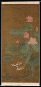 Lotus et oiseaux aquatiques
