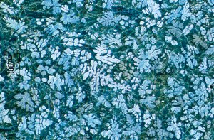Métaux, ferreux, LM Coulée sous pression à base de zinc (gravé) - Unbekannt