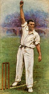 M. W. Tate Sussex