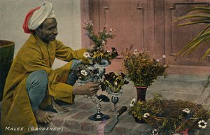 Malee. Jardinier, vers 1910