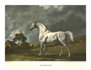 Mambrino, vers 1779, vers 1955