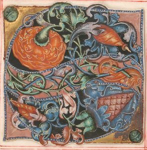 Enluminure de manuscrit avec initiale S, d