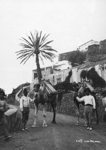 Hommes avec des chameaux, Las Palmas, Grande Canarie, Îles Canaries, Espagne, vers 1920-1930
