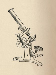 Microscope, 1912 - Unbekannt