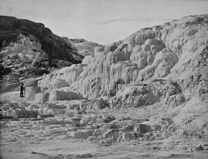 Terrasse de Minerva, parc de Yellowstone