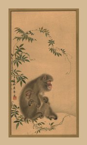 Singe, XIXe siècle, 1886