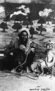 Jongleur de singes, Inde