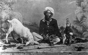 Dresseur de singes, Inde, 20e siècle