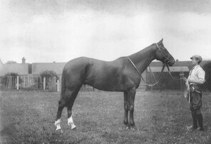 La Fortune du Mont Prospect, 1911