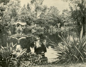 Les jardins de M. Ryan, Mount Macedon, Victoria, 1901