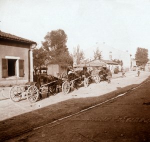 Chariots de mulets avec des provisions, Verdun, nord de la France, vers 1914-1918
