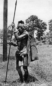 Homme Naga, Inde, 20ème siècle - Unbekannt