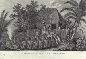 Indigènes des îles Sandwich, Hawaï, abattant des porcs devant le capitaine Cook, vers 1778 - Unbekannt