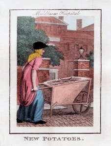 Nouvelles pommes de terre, hôpital de Middlesex, Londres, 1805