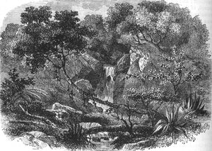 Paysage de Nouvelle-Zélande, vers 1880