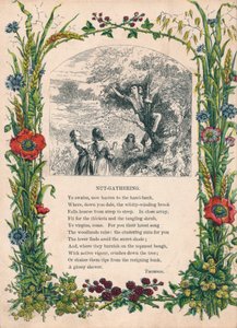 Récolte de noix, par Thomson, vers 1900