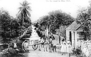 Sur la route de Blue Hills, Bahamas, vers 1900
