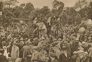 Un des signes de notre civilisation : Jardins zoologiques bien garnis pour ravir les curieux, c193