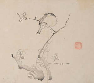 Page de Shi Zhu Zhai Shu hua pu