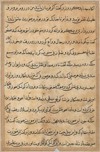 Page du Tuti-nama : page de texte - Unbekannt