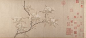 Fleurs de poirier