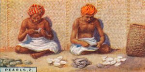 Perles, 2. - Ouverture des huîtres, Ceylan, 1928