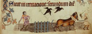 Paysans labourant du Luttrell Psalter, vers 1330