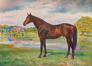 Kaki, vers 1905-1910