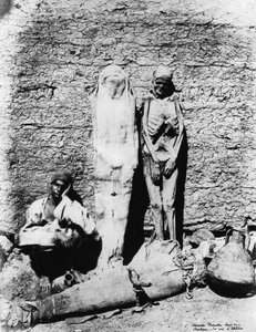 Photographie de momies, 1860