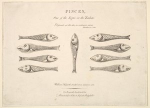 Poissons : Quadrille de Hogarth, vers 1730 - Unbekannt
