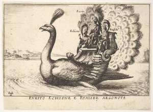 Planche 14: Les Argonautes Eurytus, Echion et Aethalides, 1664 - Unbekannt
