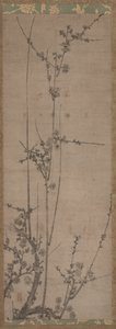 Fleurs de prunier