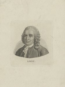 Portrait de Carl von Linné 1707-1778, vers 1780 - Unbekannt