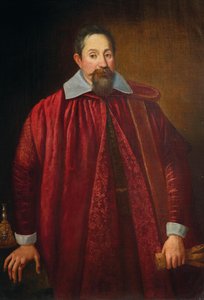 Portrait de Jacopo Pitti 1519-1589 en tant que sénateur florentin, fin du 16e siècle - Unbekannt