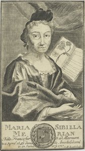 Portrait de Maria Sibylla Merian 1647-1717, 1755
