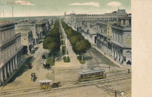 Avenue du Prado, 1907