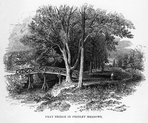 Pont de Pray dans les prés de Fridley, Surrey, 19ème siècle