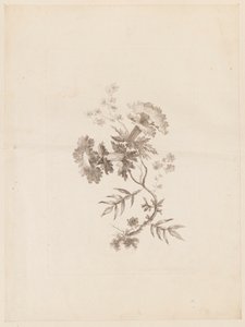 Impression