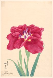 Gravure, La colère du lion (Shishi-Ikari), No. 22 - Unbekannt
